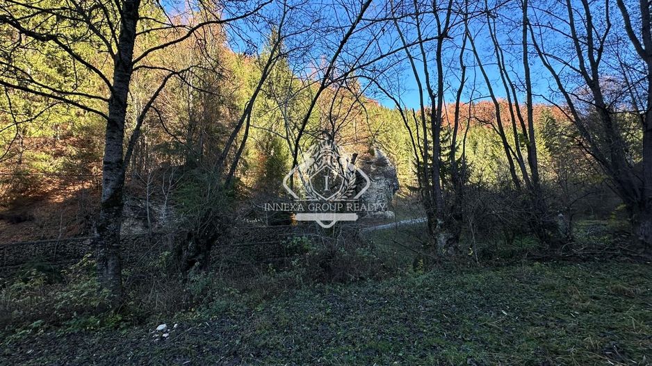 Teren 2.882 mp – oportunitate investitie - Cheile Dâmbovicioarei - Poză 9