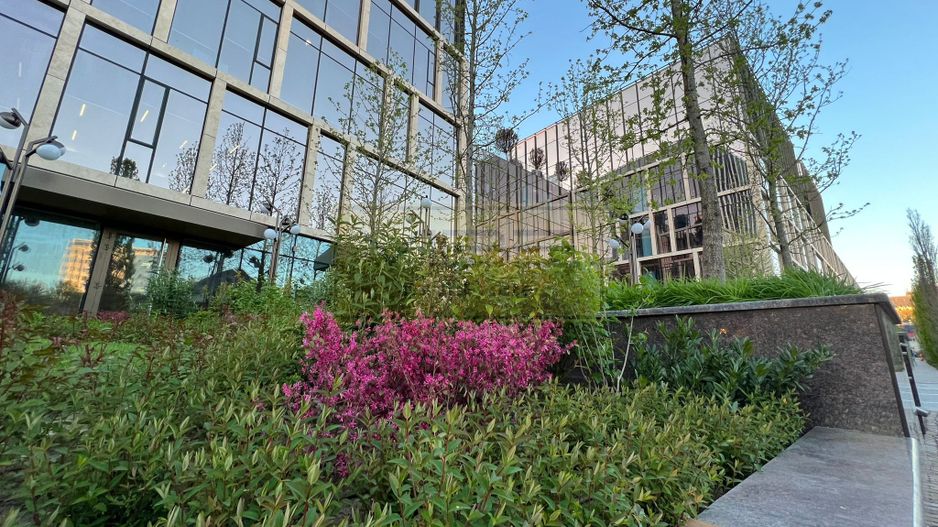 Apartament 2 camere Centru - Palas - AMAZON - Poză 34