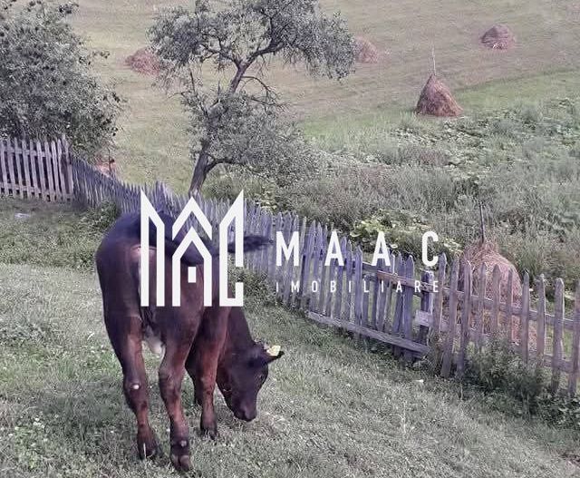 Proprietate cu 60000 mp pamant la pret de apartament - Poză 22