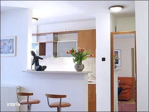 Apartament 2 Camere de Vânzare – Zona Cismigiu, Bulevardul Nicolae Băl - Poză 9