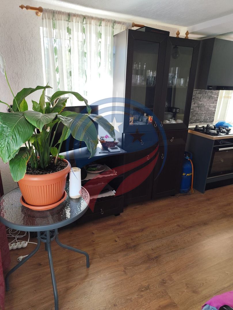 Casa cocheta la 30 minute de Craiova- Cornița Dolj - Poză 8