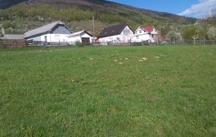 Teren intravilan 5360mp Bistrita Nasaud | Tiha Bârgăului