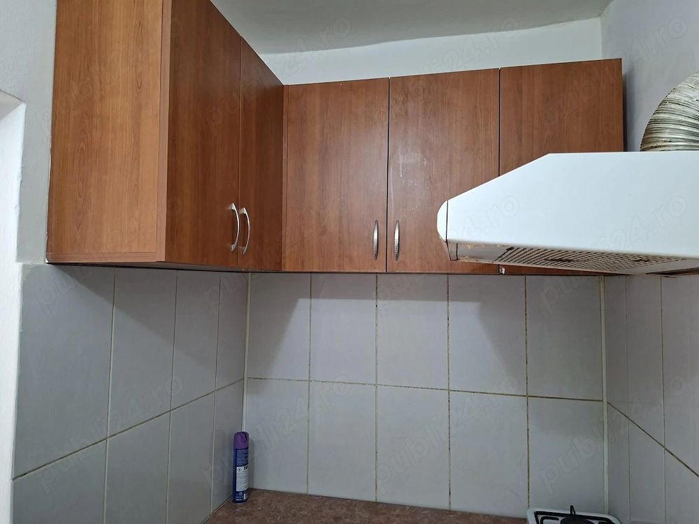 Iosefin | Decomandată | Etaj 3 | Aer condiționat | Lângă Bega - Poză 4