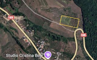 Teren intravilan de vânzare 7.000 mp – Groși, spre Dumbrăvița - Poză 3