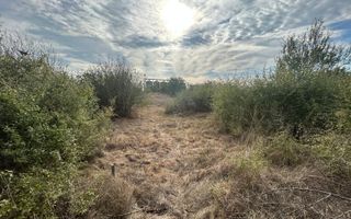 COMISION 0 | Teren intravilan | 945mp | Sacalaz Vest - Poză 3