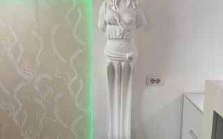 Triplex 5 Camere de Închiriat - Herăstrău, Cartierul Francez - Poză 3