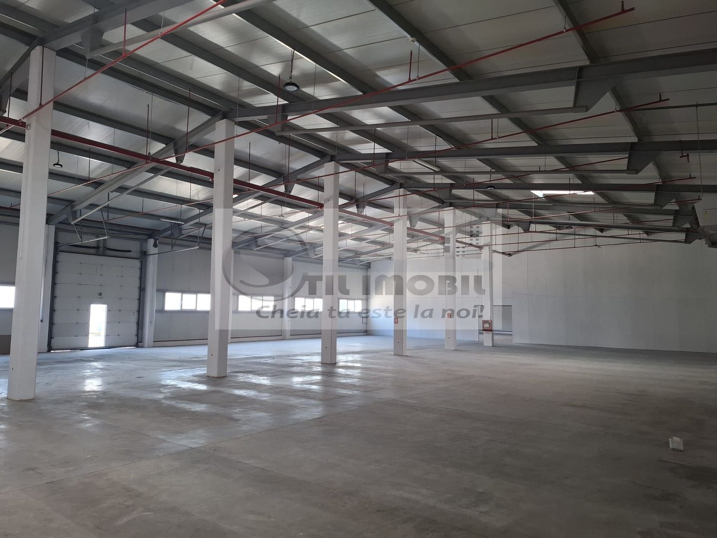 Spatiu depozitare de inchiriat,  suprafata 1250mp +500mp birou - Poză 3