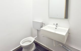 Spatiu comercial | Blascovici - Poză 6