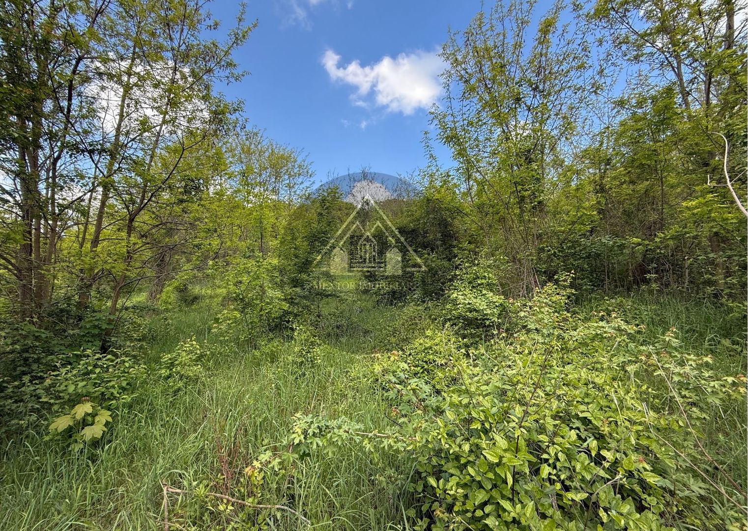 Teren constructii Medias - Poză 8