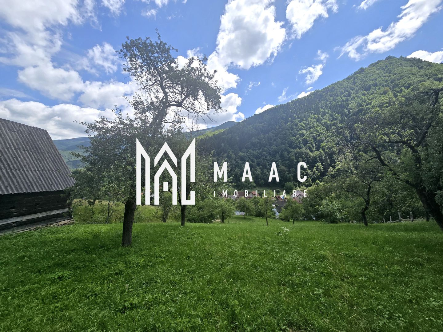 Teren | 2946MP | Priveliște Panoramică | Râu Sadului - Poză 10