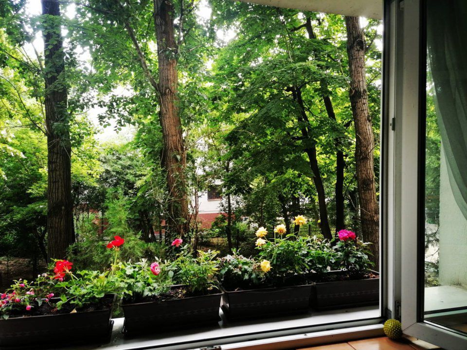 APARTAMENT BUCURESTII NOI | PAJURA - Poză 2