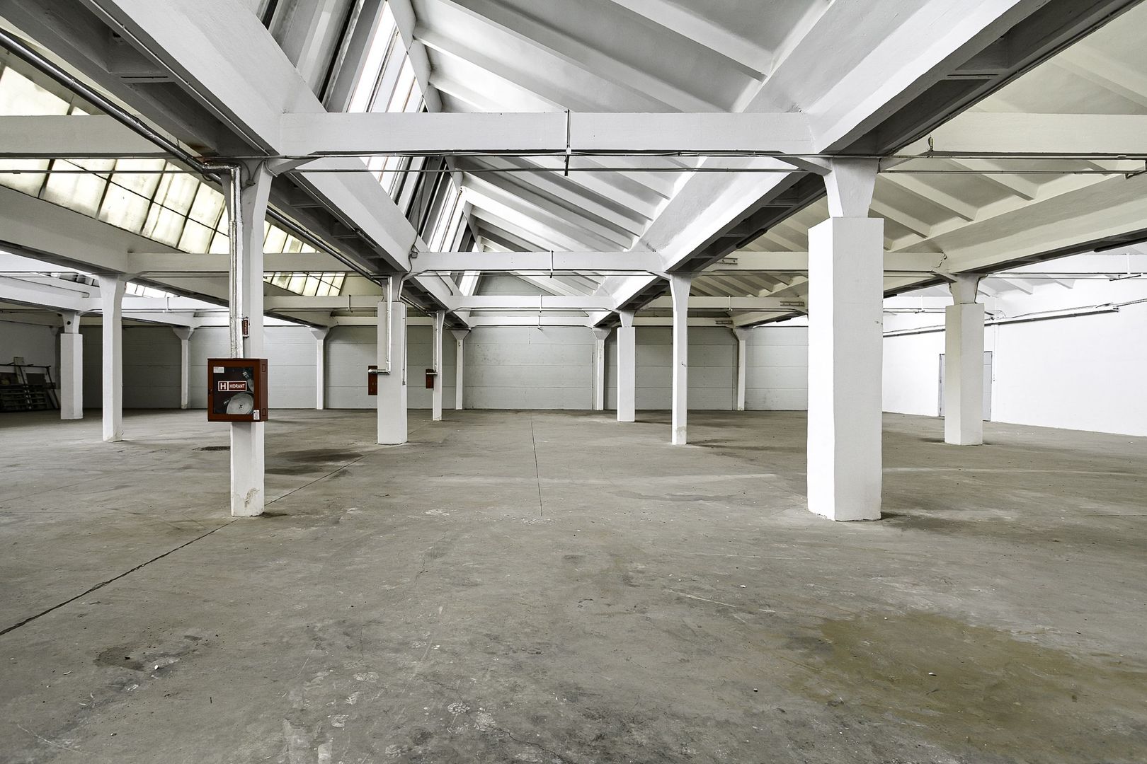 Hala Industriala de inchiriat 1.174 mp cu rampa egalizatoare, Arad - Poză 3