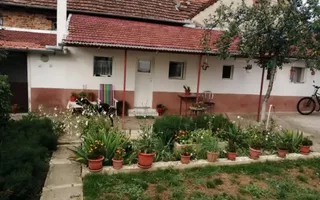 PROPRIETATE CU 2 CASE ȘI CURTE\VALEA TIMIȘULUI\JUD.CS - Poză 12