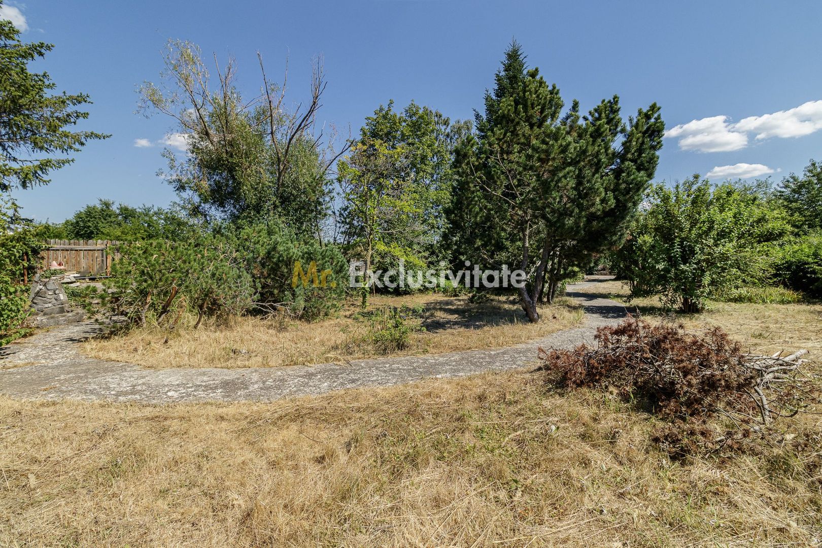 Domeniu privat 5.000 mp, cu reședință de 625 mp și piscină, Corbeanca - Poză 41