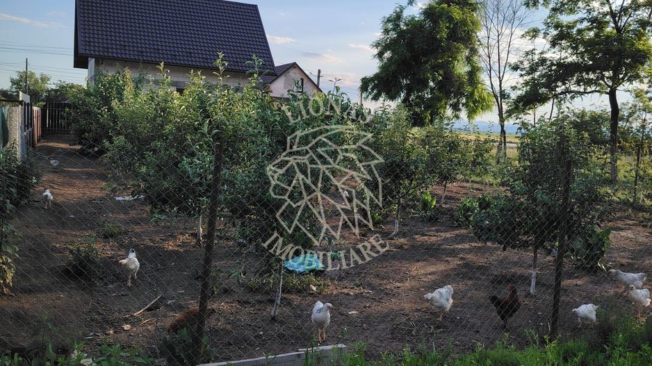 Doua Case 240 mp-teren 1328mp-livada-magazie-Cristesti Pascani - Poză 10