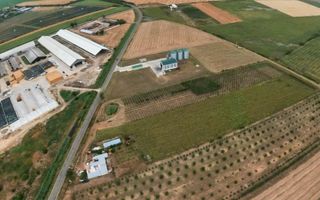 Livadă de 3,6 hectare în Iratoșu – Oportunitate - Poză 5
