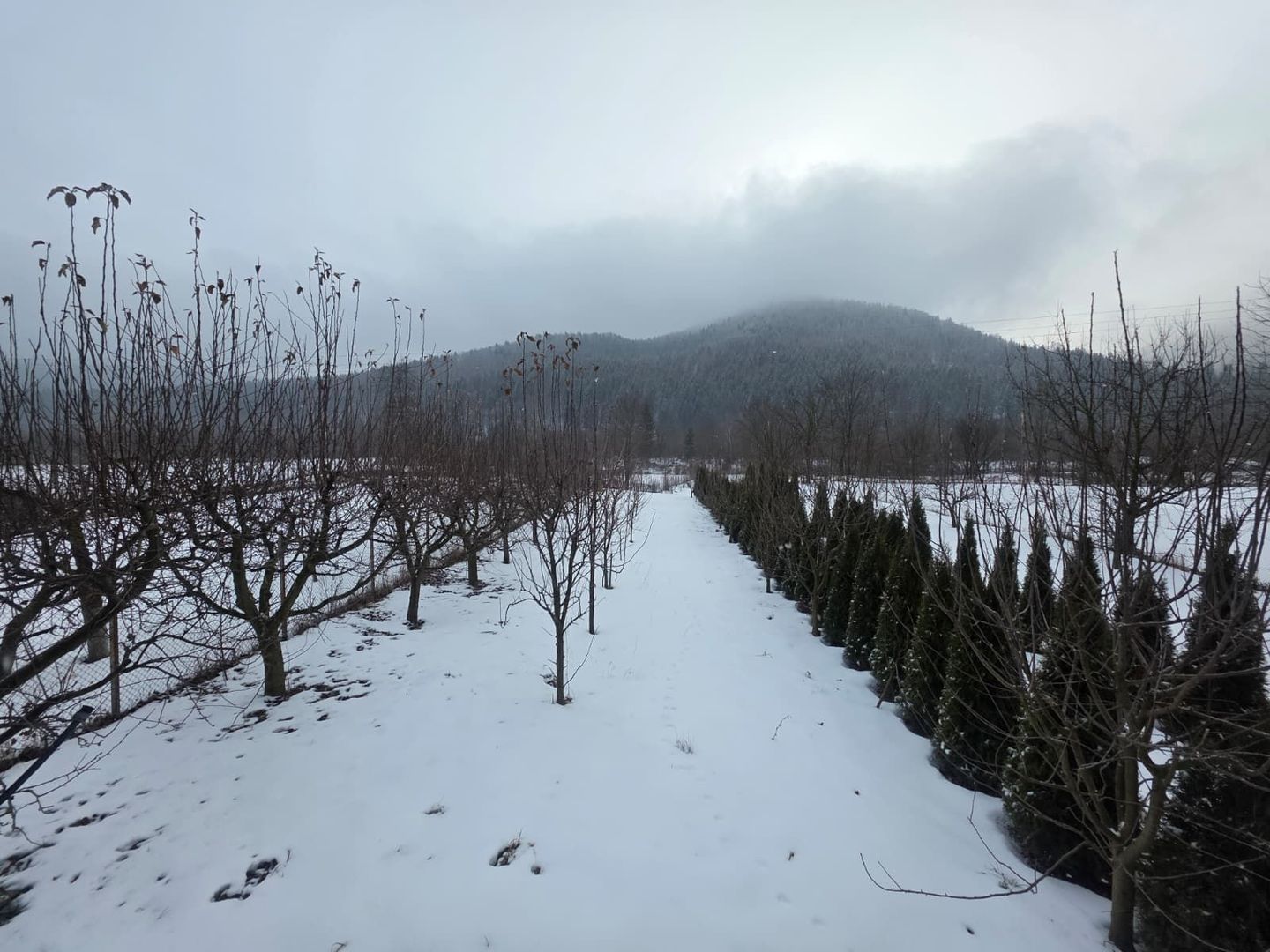 CASĂ MODERNĂ | VĂLENI-STĂNIȘOARA | 354.000 € - Poză 22