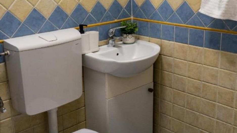 Casa superba  zona Eminescu | Mosilor - Poză 16