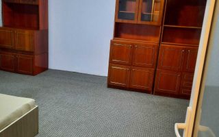 Apartament cu o camera, lunei - Poză 3