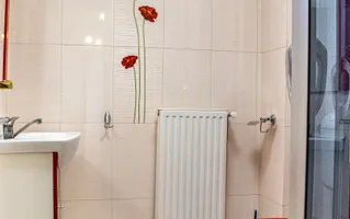 Vila spatioasa pt doua familii 10 camere Clinceni Monumentul Eroilor - Poză 26