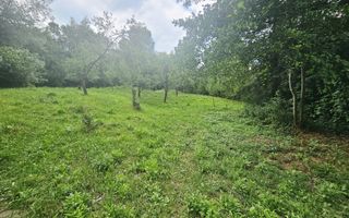 Teren intravilan de vânzare – 2.190 mp – Podu Vadului, Breaza - Poză 6