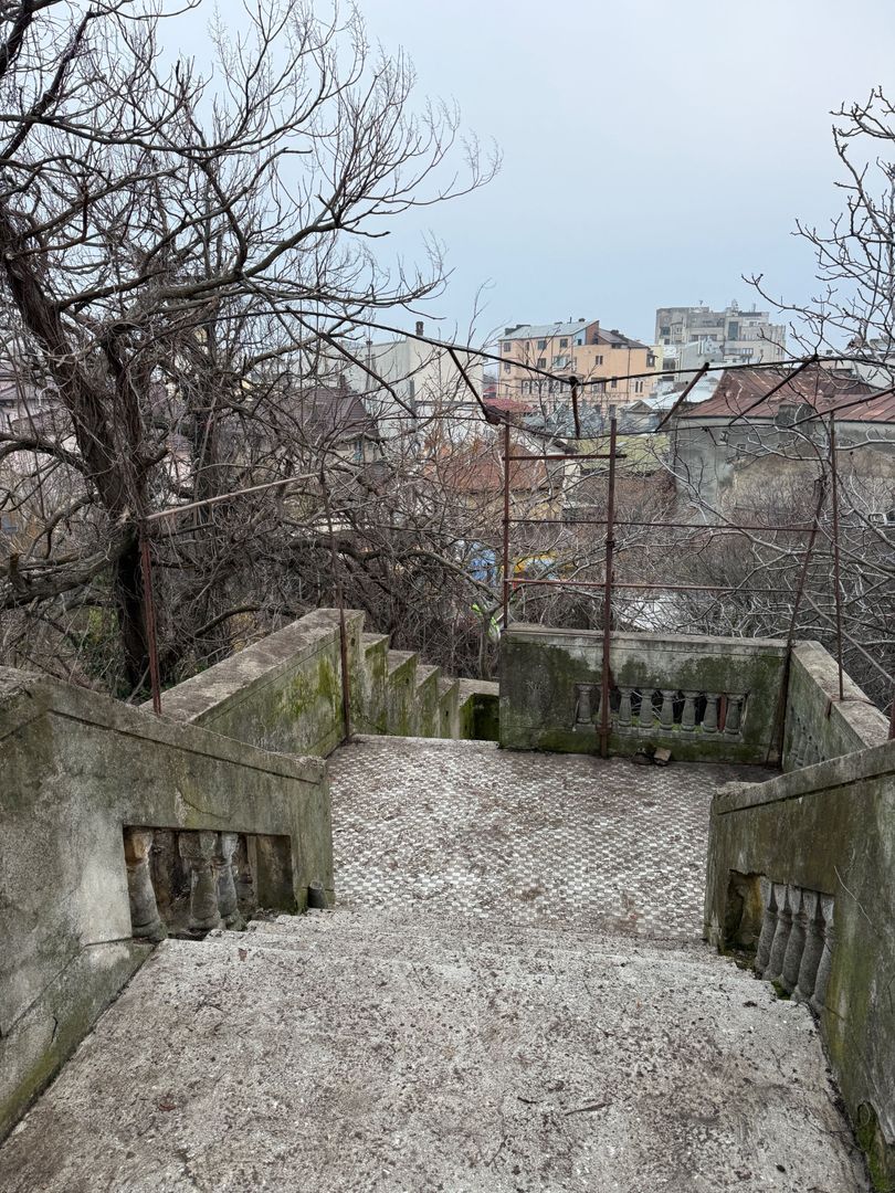 VILA INDIVIDUALA CISMIGIU | INTR. TEMISANA - Poză 21