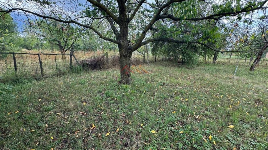 Casa 3 camere + Anexe, garaj, teren 2500 m2, an 1974, CT, Magurele, PH - Poză 9