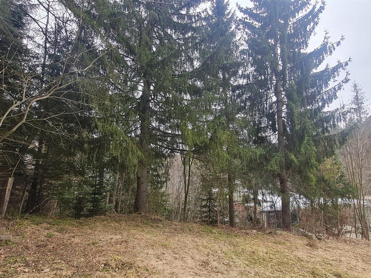 Cu 4.200mp teren, Vila cu potential turistic, in inima Predealului - Poză 6