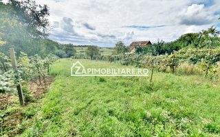 Teren 3.412 mp,zona Belvedere 45 euro mp - Poză 9
