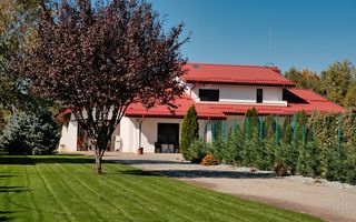 Vila tip Ranch langa Padure - Poză 1