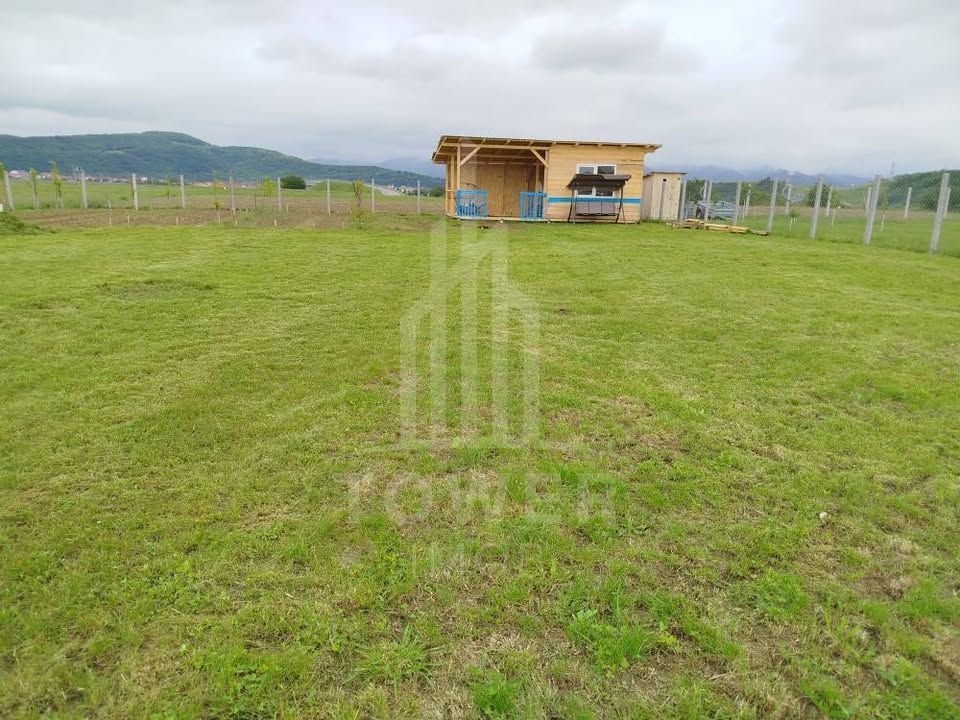 Grădină 862 mp cu cabanuta și pomi fructiferi – între Tălmaciu și Sadu - Poză 7