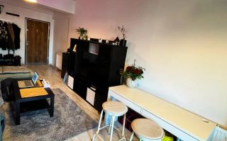 Apartament unical 2 camere Vitan-Barzesti Pet friendly - Poză 4