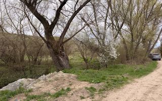 Comision 0! | Casă + teren generos | 2600 m² | Oportunitate unică - Faureni - Poză 21