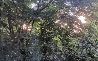 Inchiriere apartament 2 camere, intersectia Iancului - Poză 5