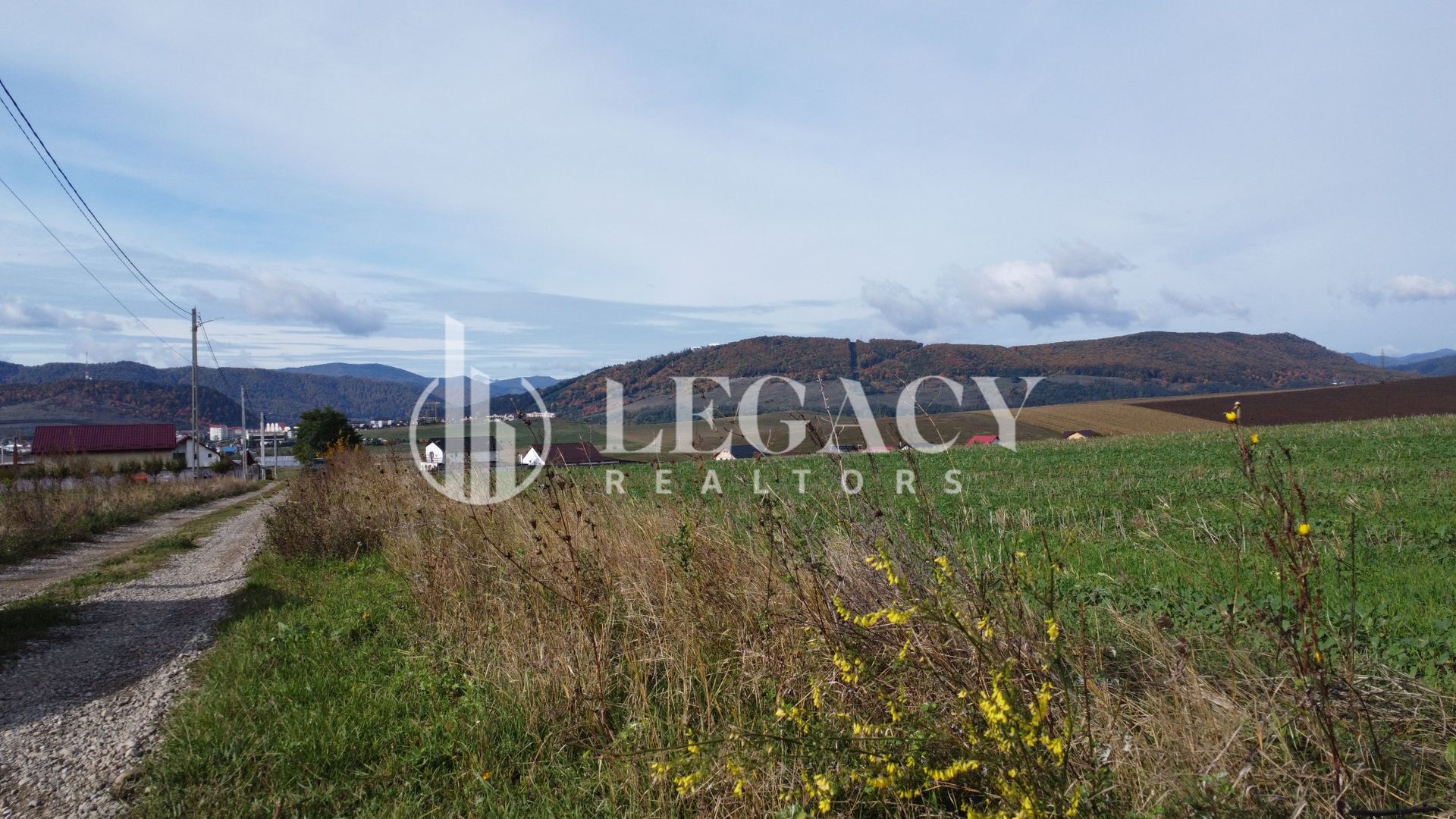 Teren intravilan 10.000 mp Gârcina lângă Sala Polivalenta Piatra Neamț - Poză 4