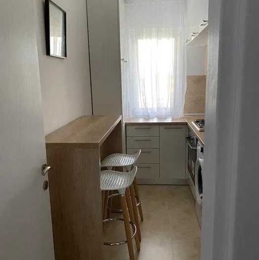 Garsoniera Parcul Teilor, Titan - Poză 7