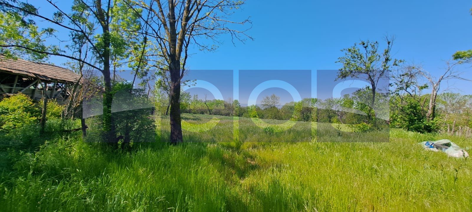 CASA TARANEASCA | TEREN 3000 MP | DESCHIDERE 52 M | COMUNA CIOLANESTI - Poză 2