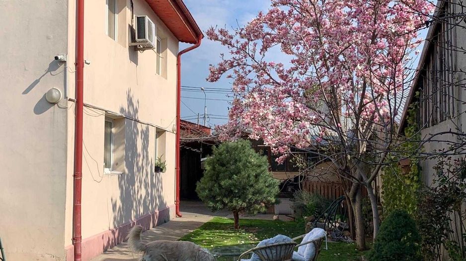 Vand  casa curte  + teren + SPATIU COMERCIAL - Poză 1