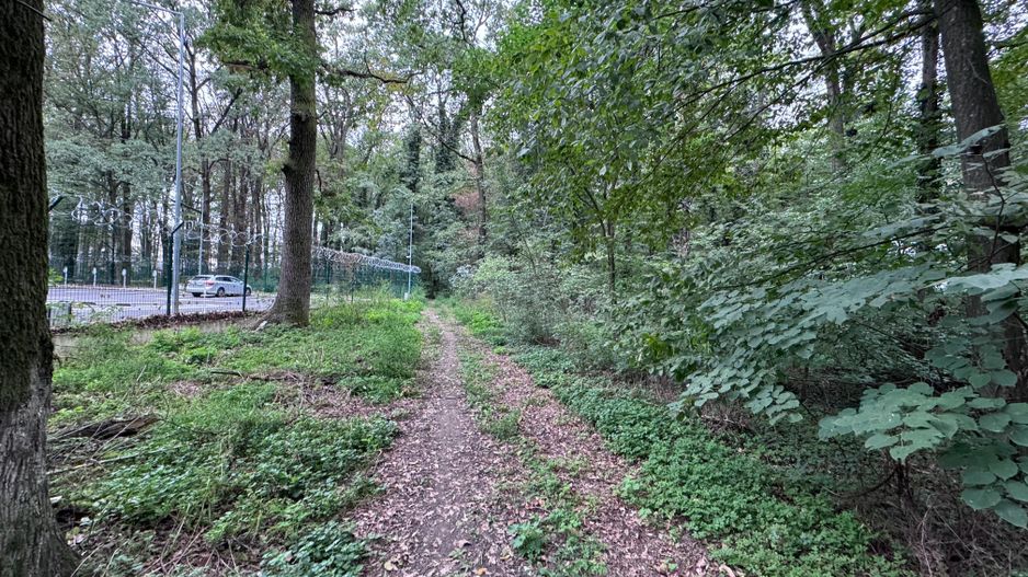 192842 mp teren in Padurea Baneasa proiect exclusivist - Poză 10