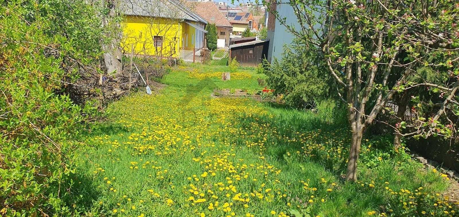 🏡 Închiriez ap. 2 camere 330€ – curte + terasă, zona semicentrală, - Poză 7