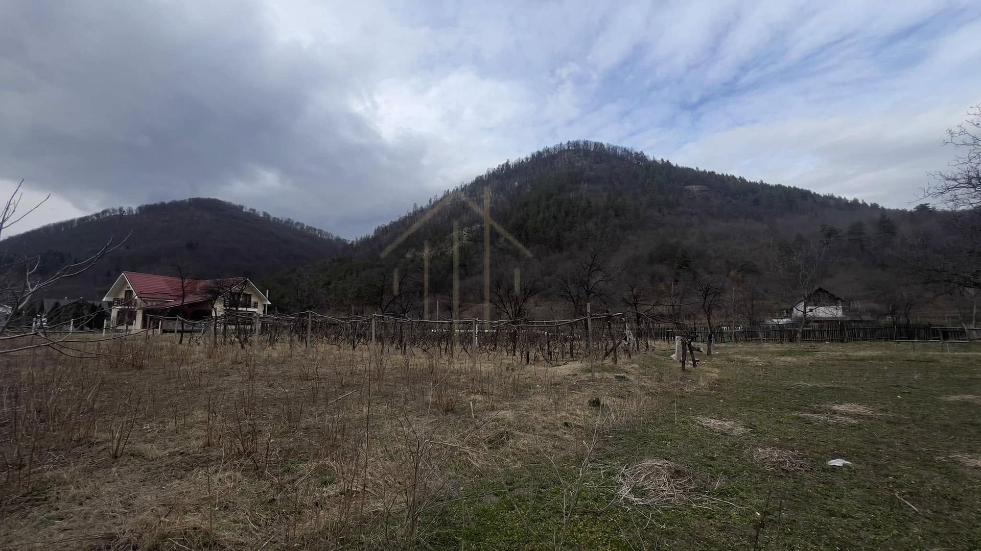 Teren 2540 mp intravilan Oituz - Poză 2