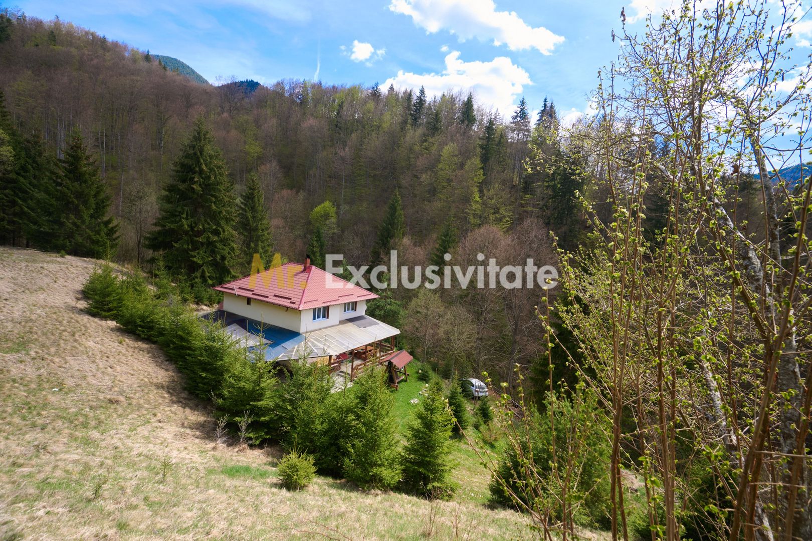 Casa de vacanta sau pensiune in Dâmbovicioara 5 camere, 5 bai, 6412 mp teren - Poză 5