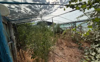 De vânzare casă de locuit în Dubăsarii Vechi - Poză 14