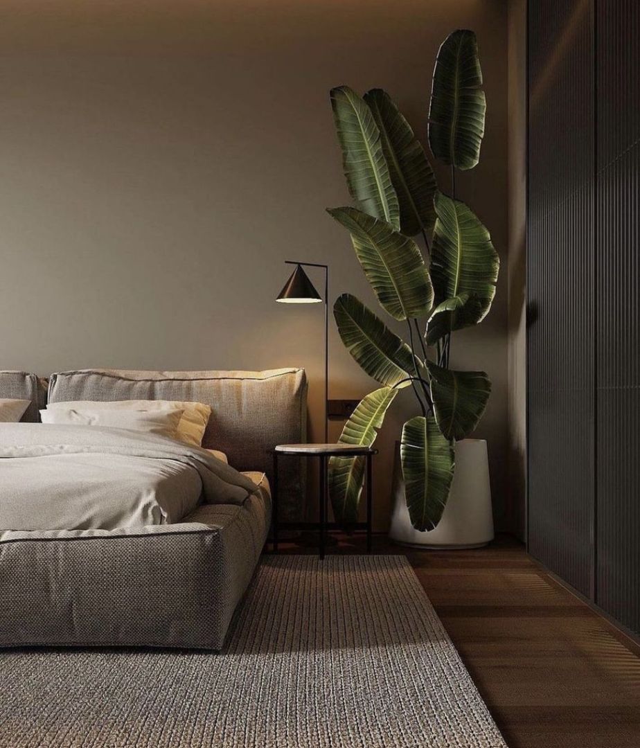 Oferta 3 cam izolatie fonica proiect premium Titan Pallady - Poză 8