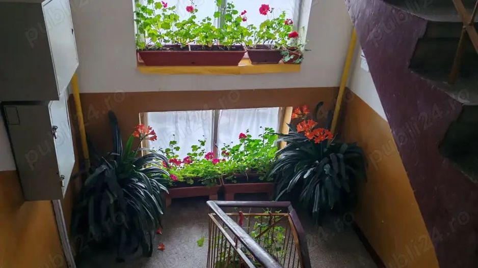 BRASADAS vinde ap cu 3 cam etaj 4/4 pe Drumul Botizului - Poză 7