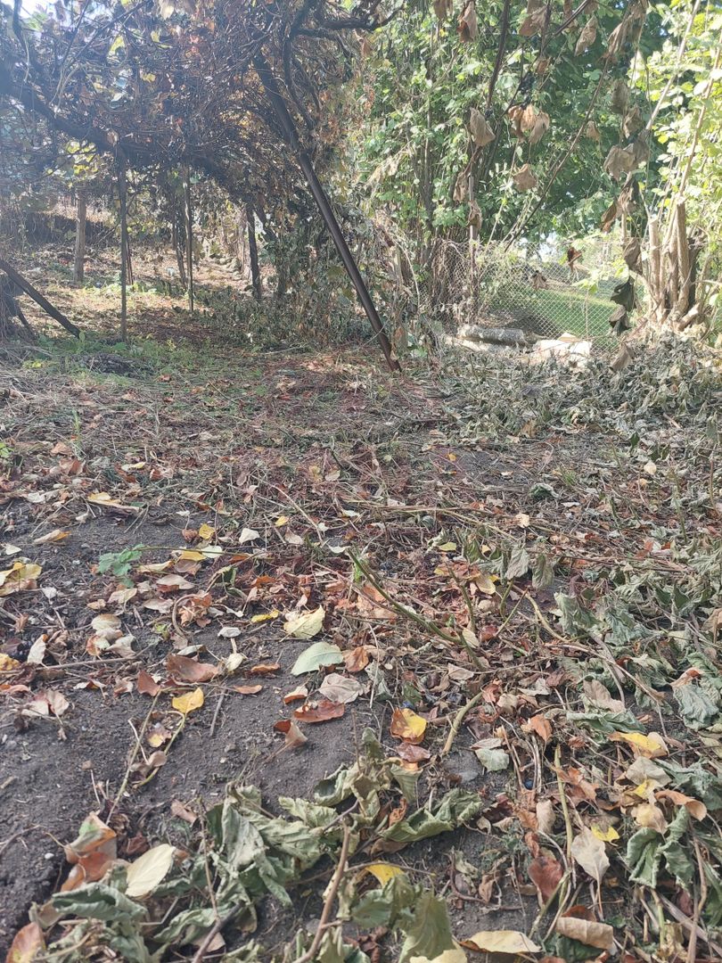 CASĂ DE VÂNZARE 2 CAMERE\ ZĂVOI\ JUD. CARAȘ-SEVERIN - Poză 5