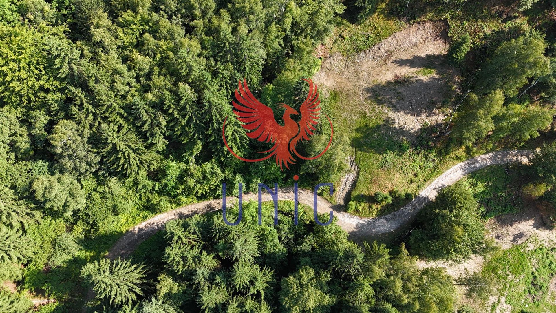 18000 mp de natura pura ,Lupeni, langa Straja - Poză 29