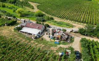 Vie Tradițională „Halta Lupilor” - Poză 43