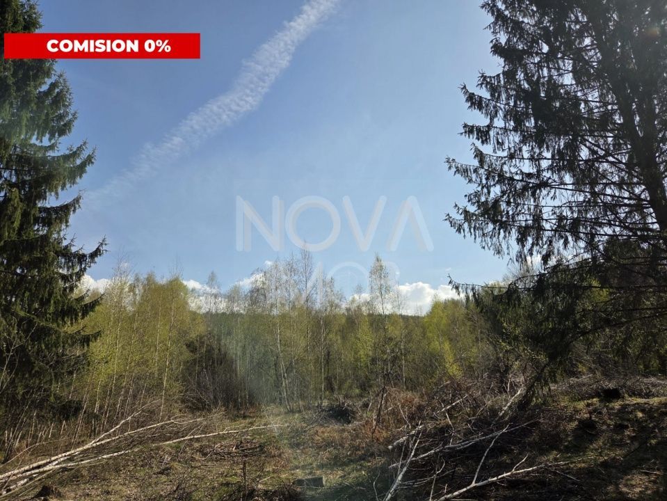 Teren intravilan de vanzare - Vistisoara - Poză 1