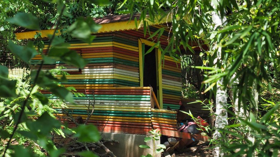 Vila 6 camere-teren 1800mp-Snagov Izvorani-lac - Poză 17